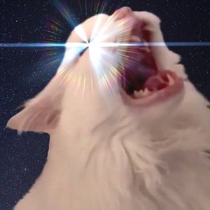 Meet your Posher, Katherine